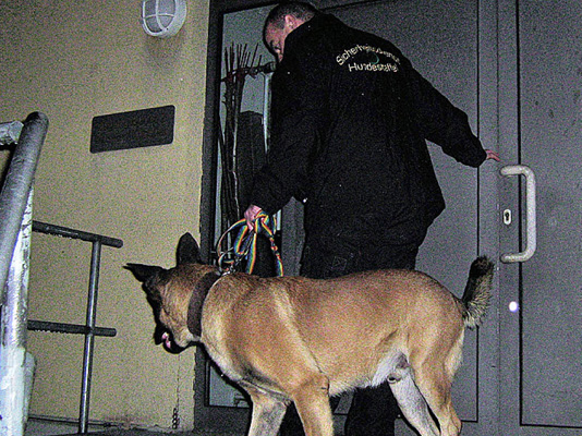 Ein Team aus Zwei- und Vierbeinern sorgt für mehr Sicherheit